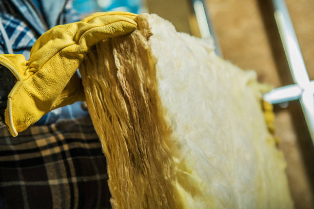 Types of Insulation We Offer in Assumption, IL